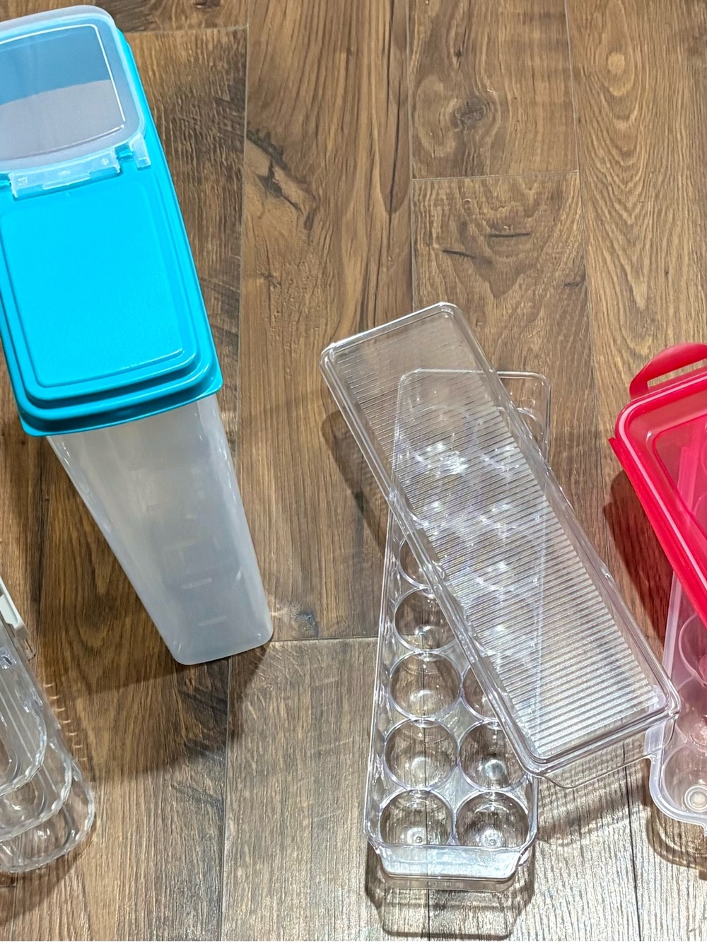 Clear Plastic Egg Container with Blue Lid - Food Storage